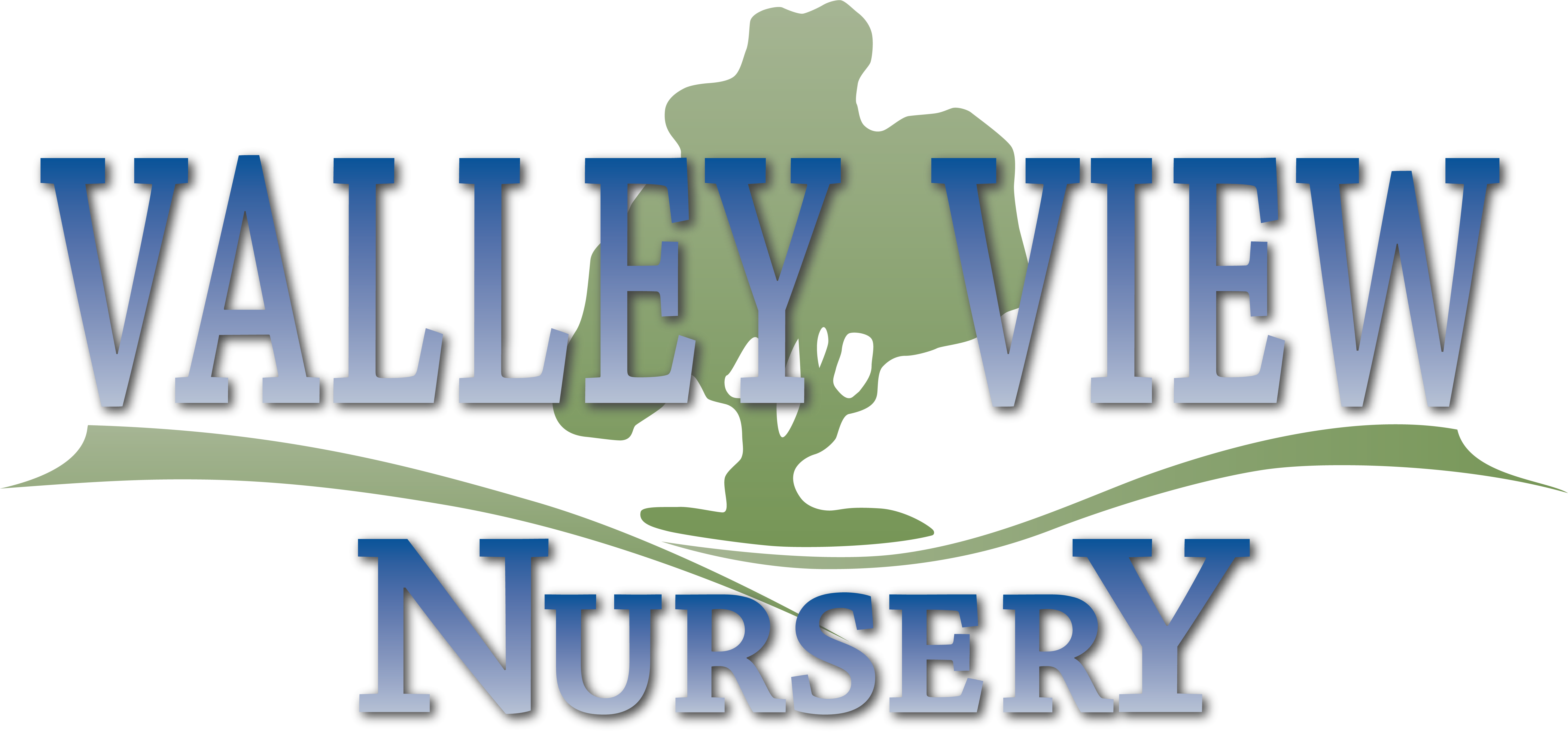 valley view nursery logo